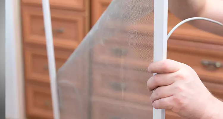 Privacy Mesh Screen Door Installation in Daytona Beach, FL